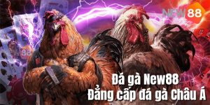 Dịch vụ cá cược trực tuyến uy tín New88 tại Khánh Hòa