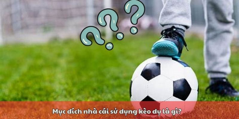 Mục đích nhà cái sử dụng kèo dụ là gì?