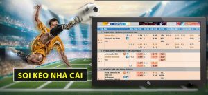 Dịch vụ cá cược trực tuyến uy tín New88 tại Hậu Giang